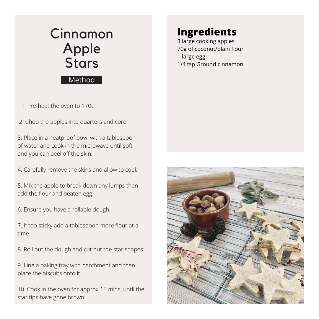 Christmas Cookies for Dogs