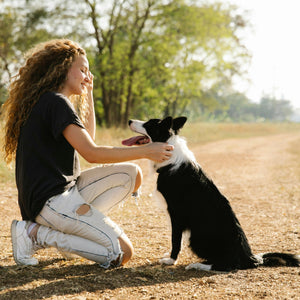 How to Bond with Your Dog: