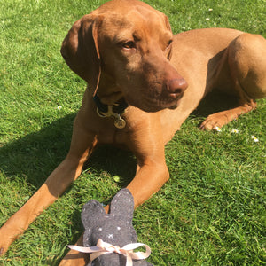 Easter Fun Games for Dogs