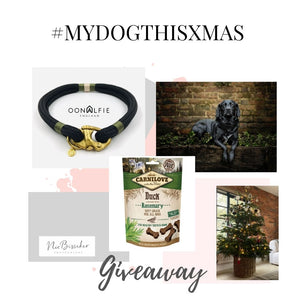 What spending Christmas with my dog means to me..........