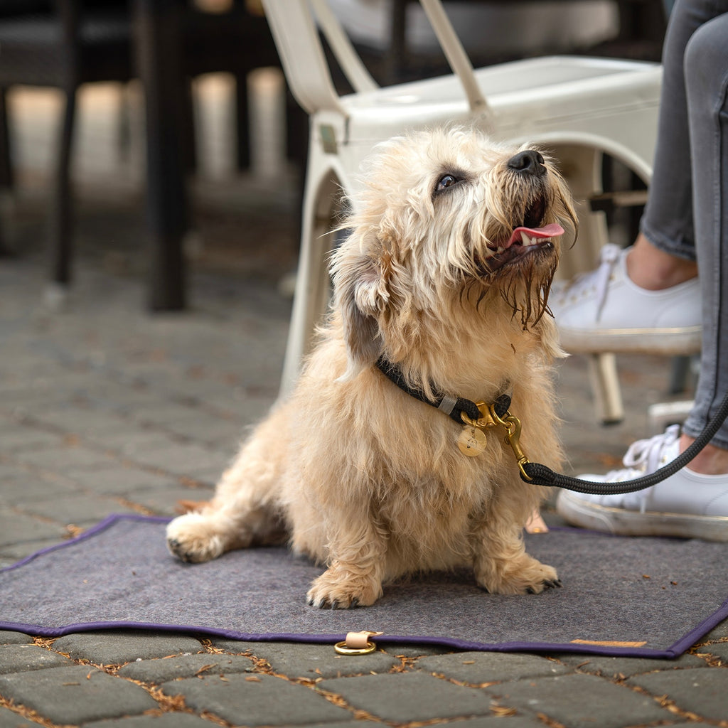 dog settle mat for cafe 