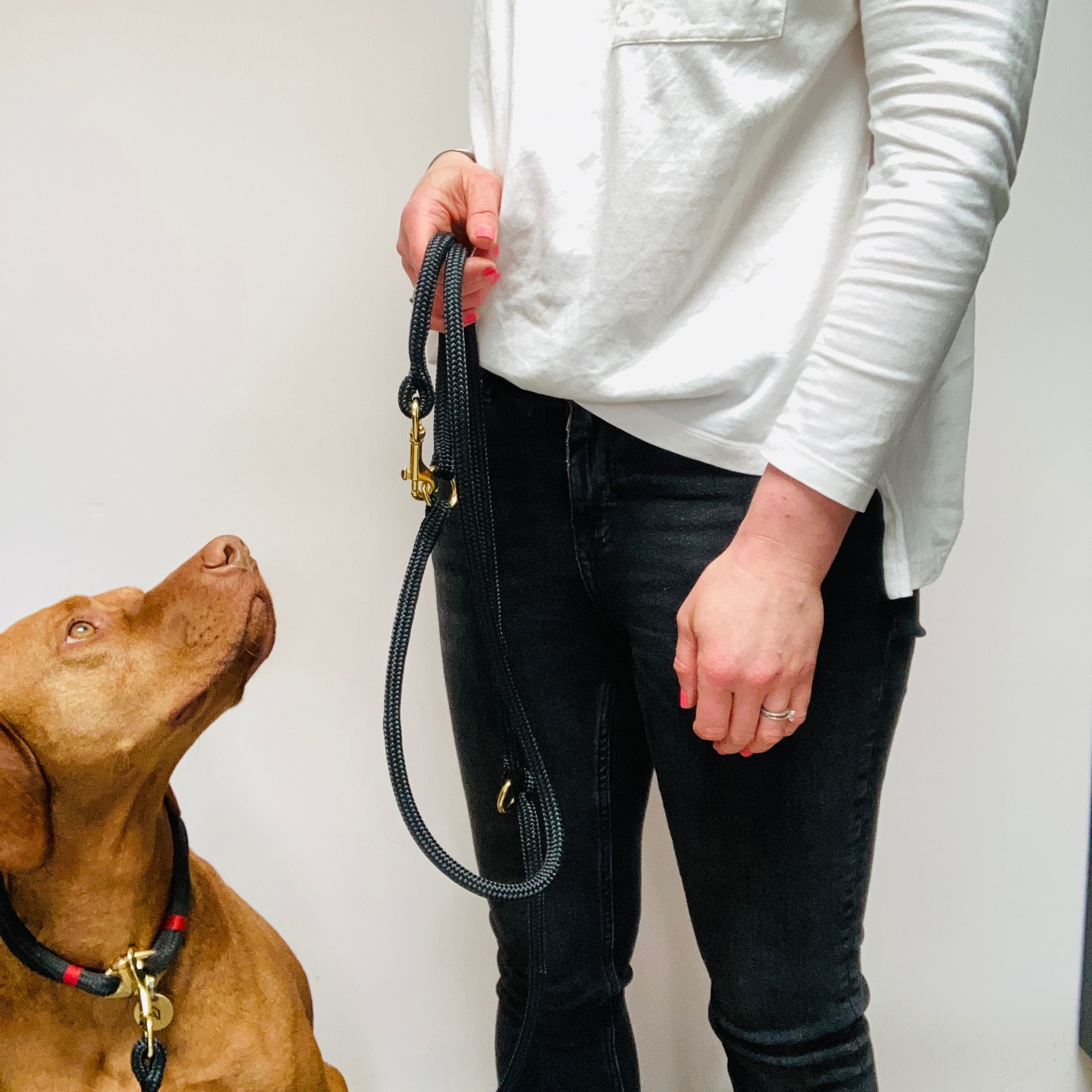 multi use dog lead long dog lead
