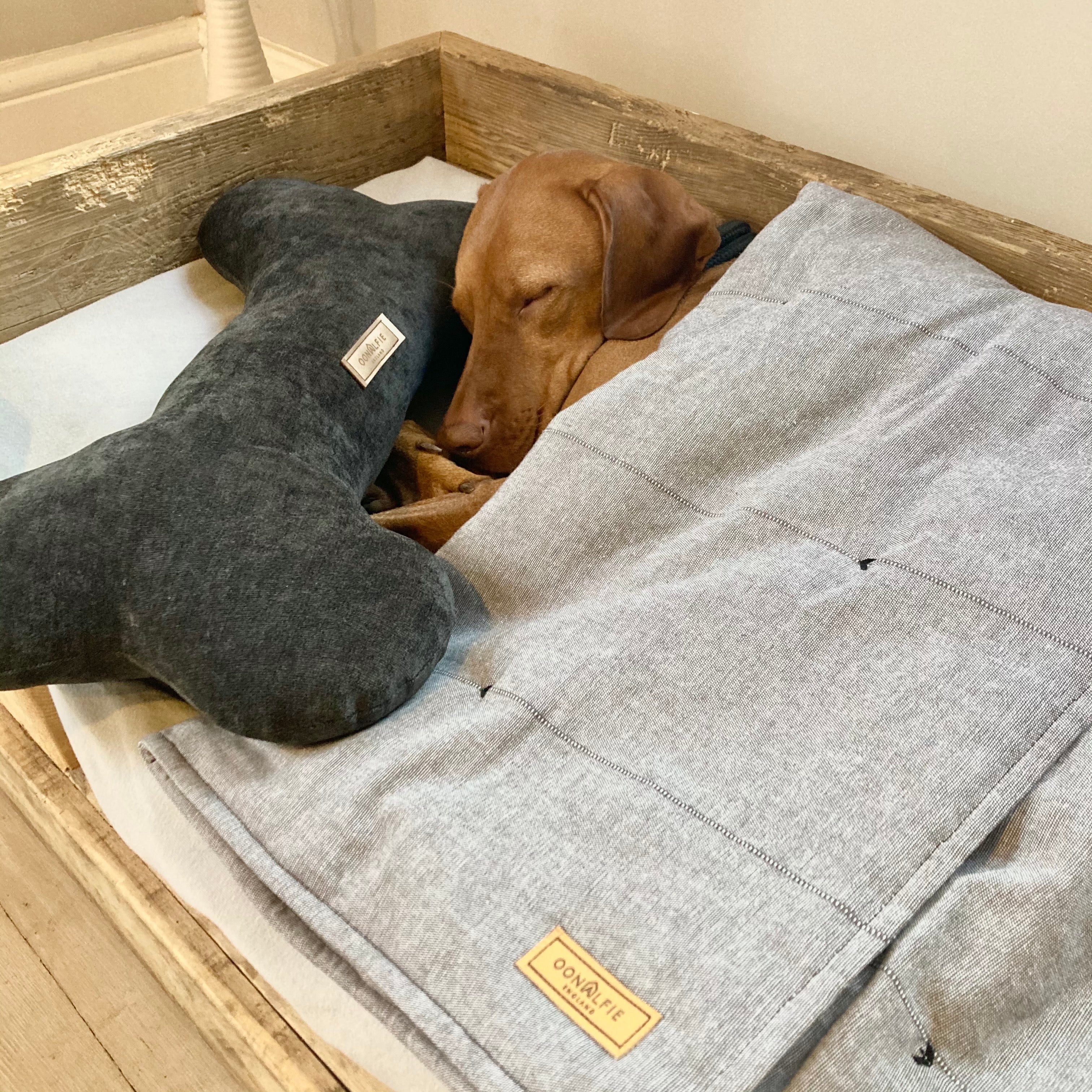 Dog Bone Pillow