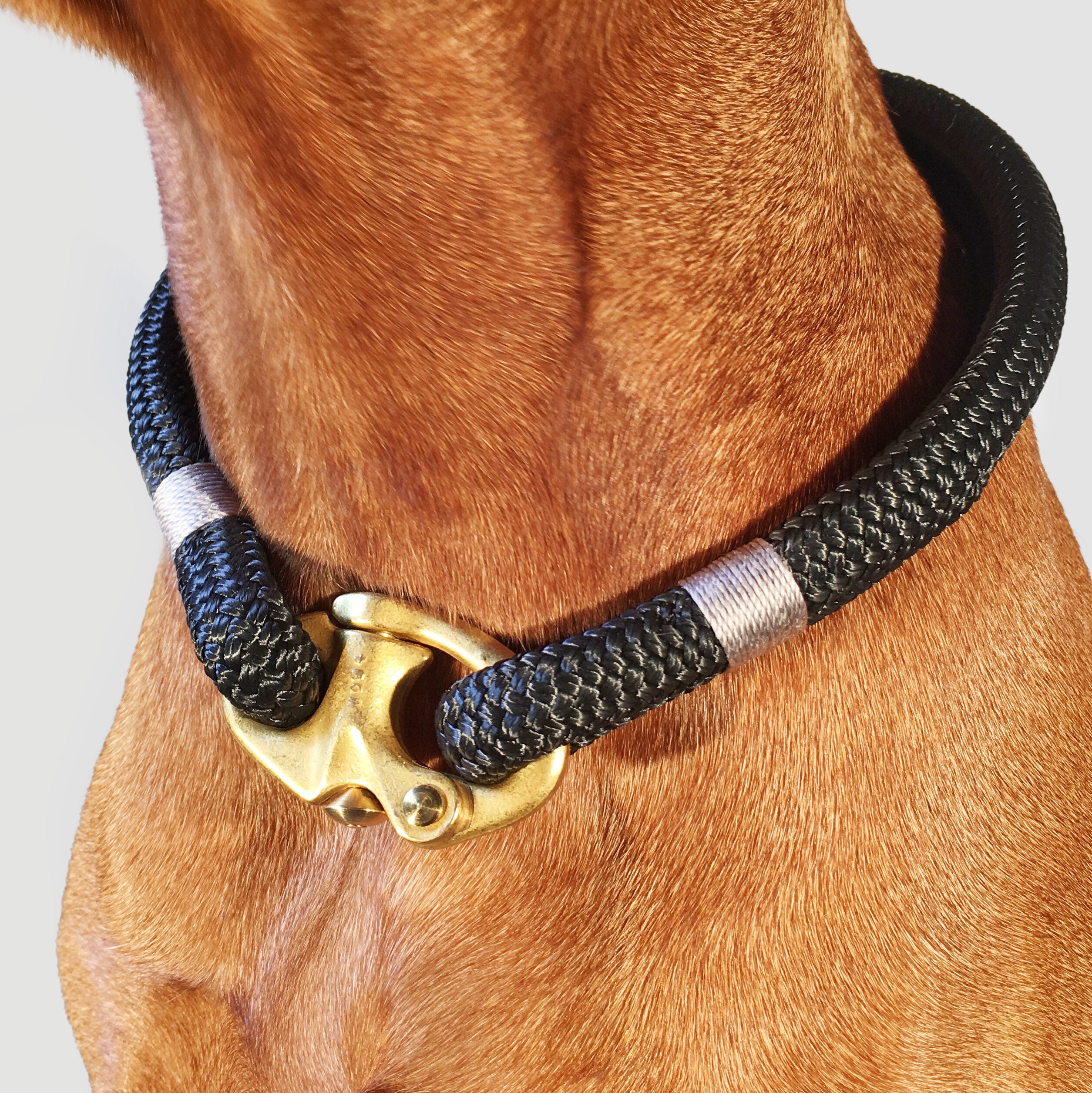 Luxury Rope Dog Collar - Silver Birch